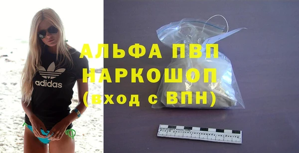 сатива Кулебаки
