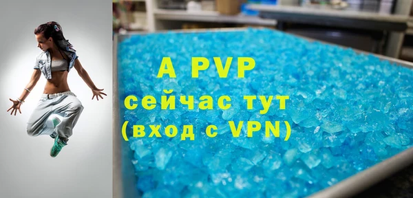 сатива Кулебаки