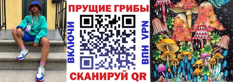 нарко площадка Telegram  Лесозаводск  Псилоцибиновые грибы мицелий  дарнет шоп 