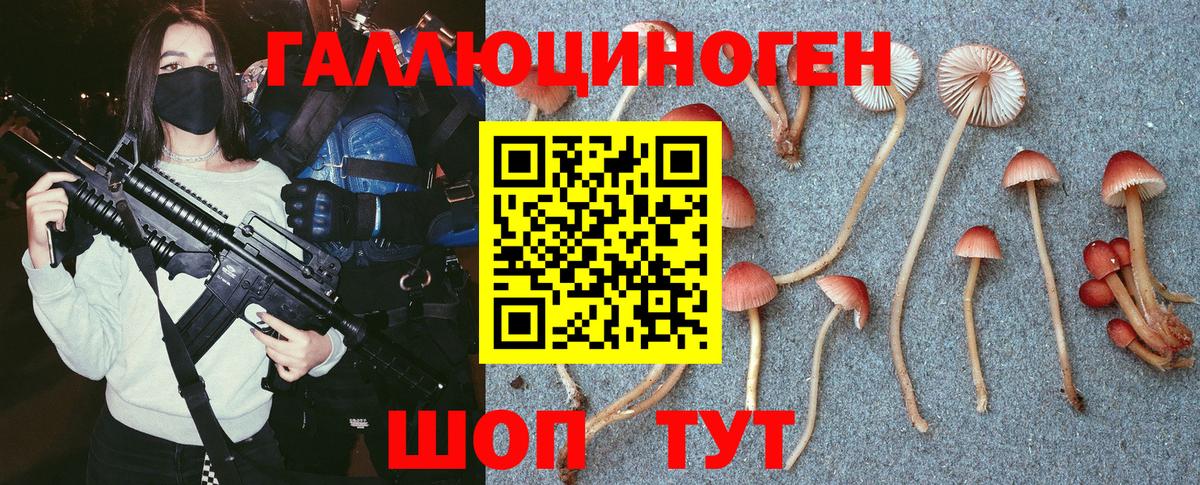 Псилоцибиновые грибы мицелий  Вход с VPN  Лесозаводск 